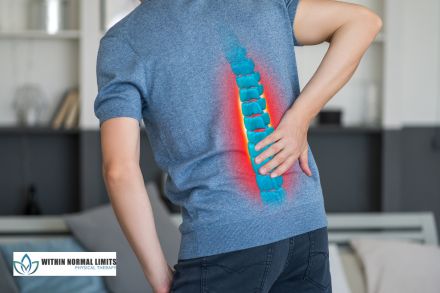 A person holding their lower back with a highlighted image of the spine, indicating back pain. The logo “Within Normal Limits Physical Therapy” is in the bottom left corner.